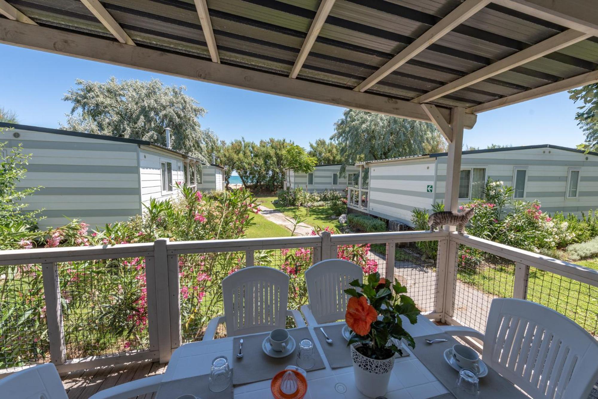 Club Del Sole Stork Family Collection Otel Giulianova Dış mekan fotoğraf